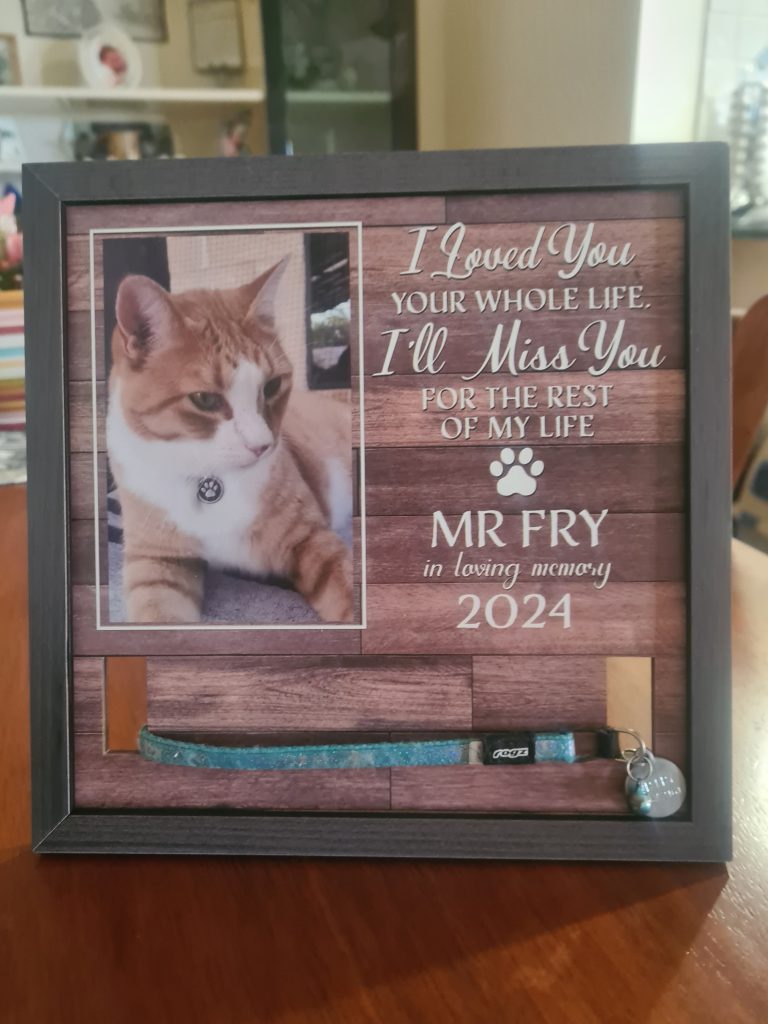 A framed memorial for a cat named Mr. Fry, featuring a photo of an orange and white cat, a heartfelt inscription, and the cat's blue collar