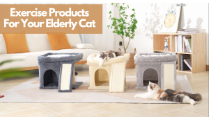 Three cat trees in a modern living room, with two fluffy cats lounging on them and a cozy sofa with orange pillows in the background