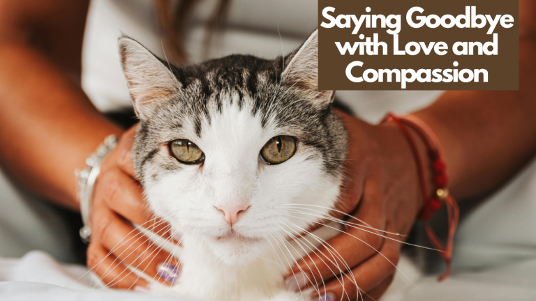 A senior tabby and white cat being gently held by a person, with a text overlay reading "Saying Goodbye with Love and Compassion