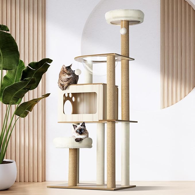 A stylish modern cat tree with multiple levels, featuring two cats lounging comfortably on different platforms in a bright, minimalistic room with wooden accents and a large green plant.