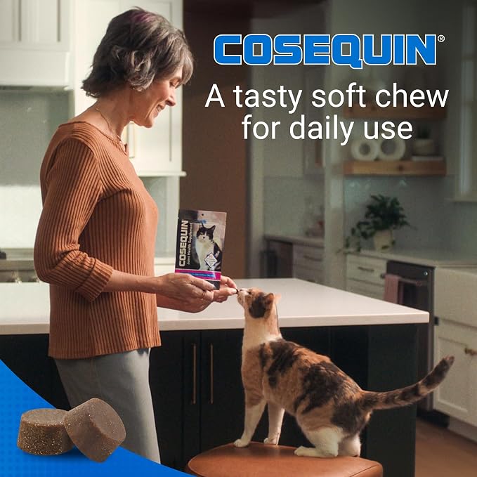 Cosequin joint supplements for older cats to support senior cat mobility and joint health