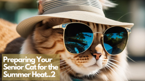 A close-up of a stylish tabby cat wearing a beige bucket hat and reflective sunglasses, with text overlay reading, "Preparing Your Senior Cat for the Summer Heat..2." The background features blurred greenery for a sunny and vibrant feel.