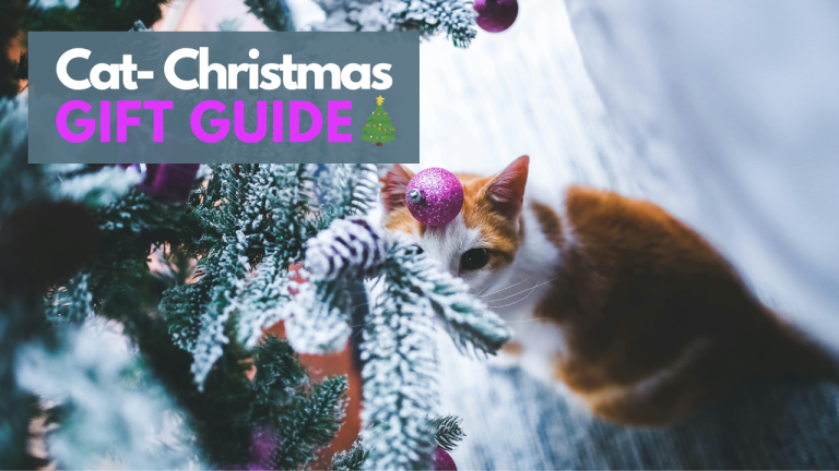 christmas gift guide for elderly cats