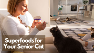 A woman feeding a senior black cat with a spoon, holding a container of cat food, with text overlay reading "Superfoods for Your Senior Cat."