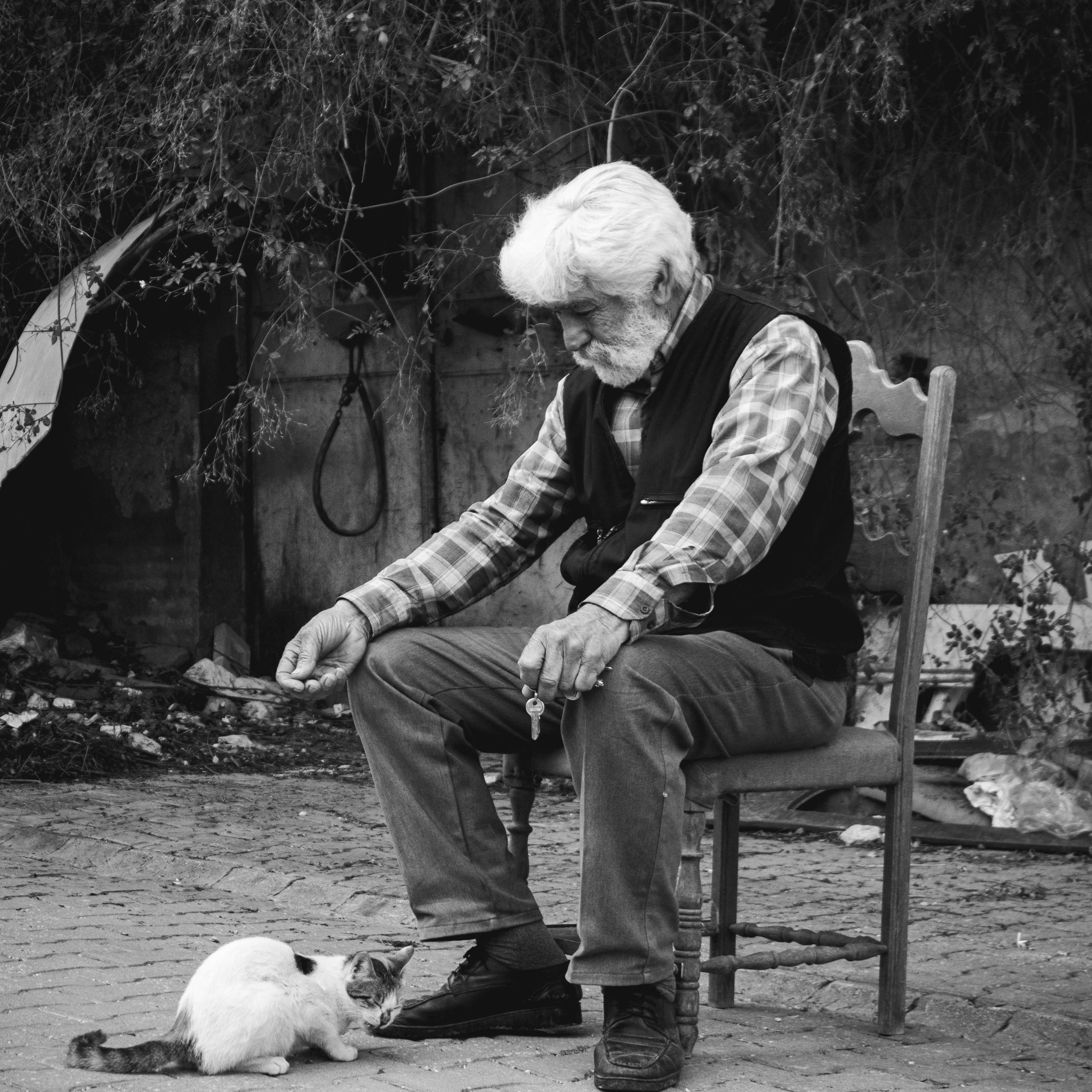 Pet therapy for anxiety and depression